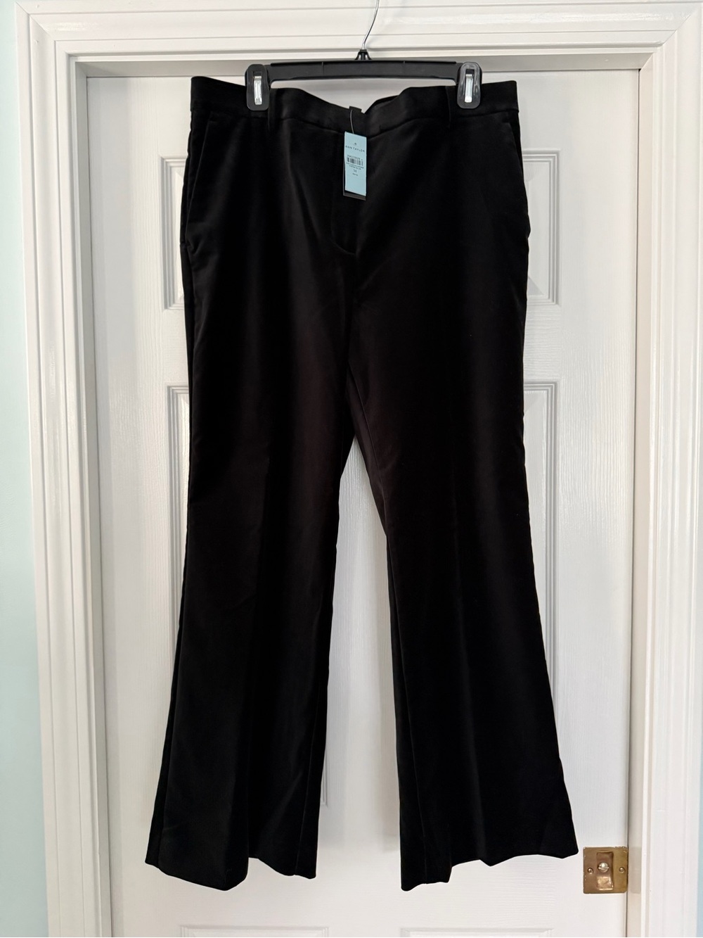 Ann Taylor Jayne Black Velvet Boot-Cut Dress Petite Trousers - 14P